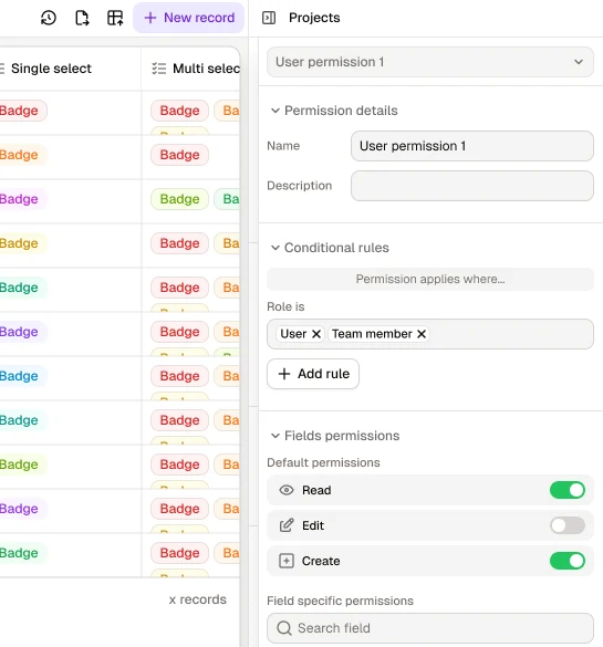 A table permission for the User and Team member roles, with read, edit and create toggles for its fields